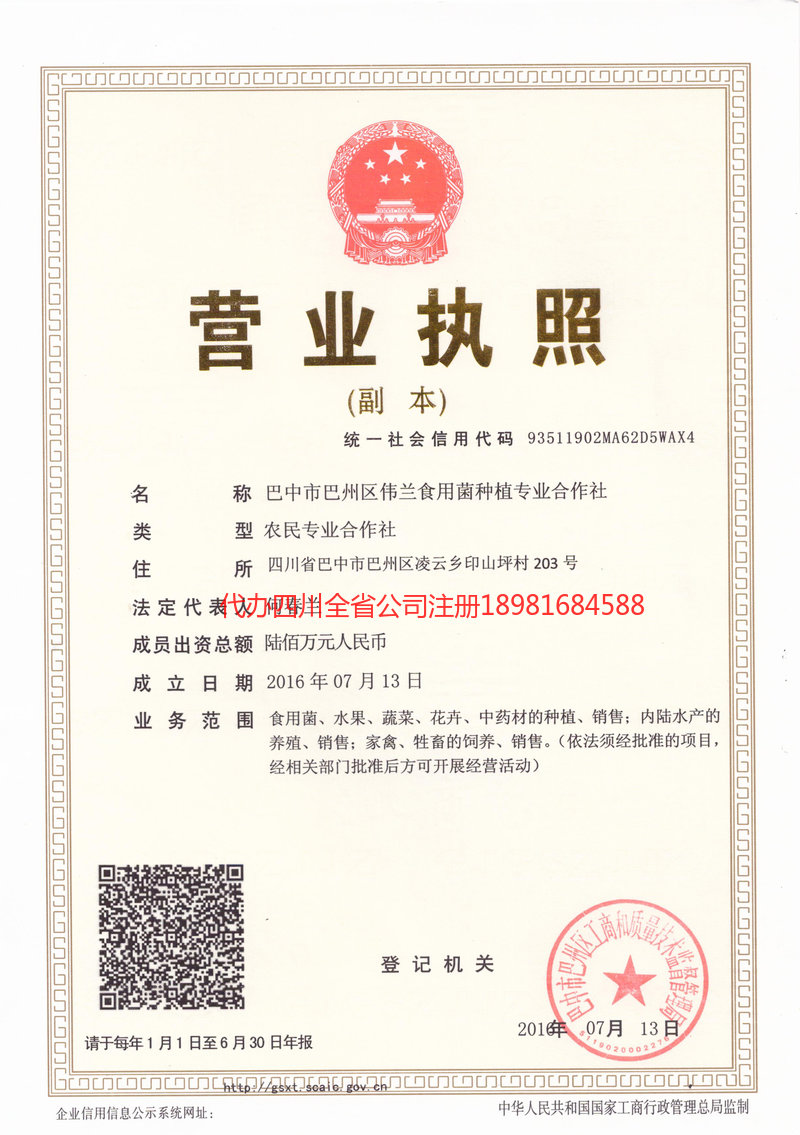 深州深州伟兰食用菌种植专业合作社